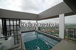 Domus (D12), Apartment #179535862